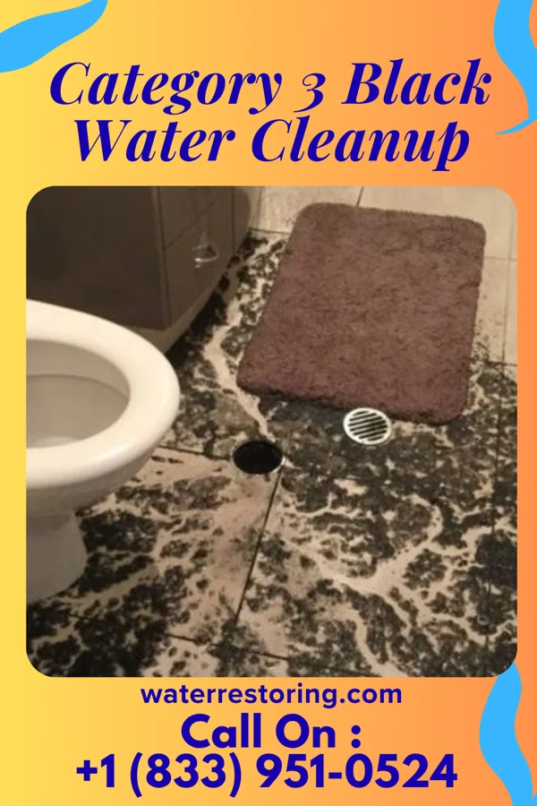 Category 3 Black Water Cleanup in Jeffers, MN