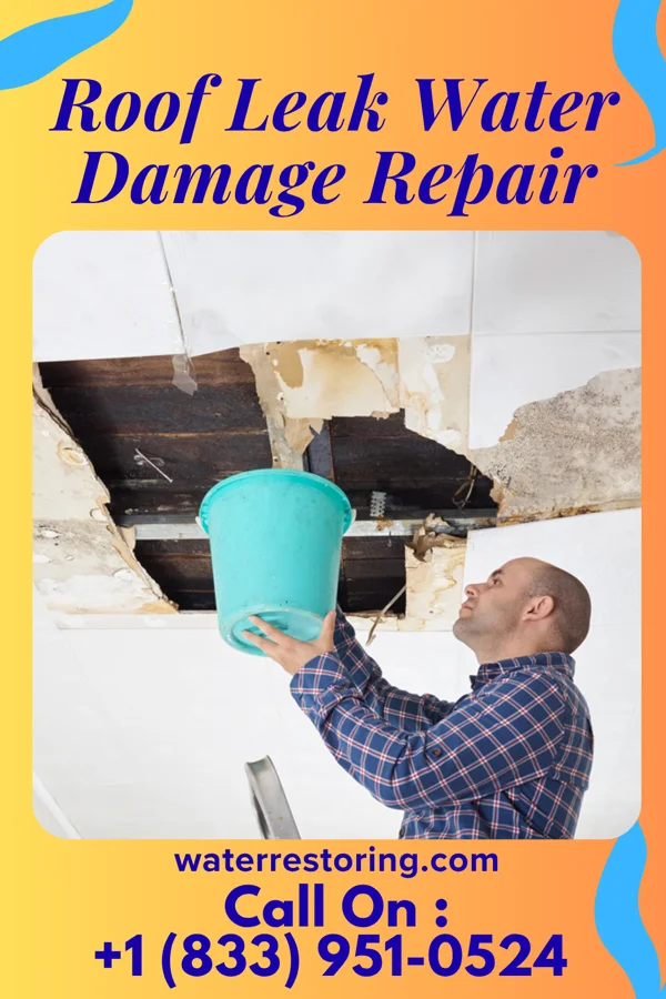 Roof Leak Water Damage Repair in Jeffers, MN
